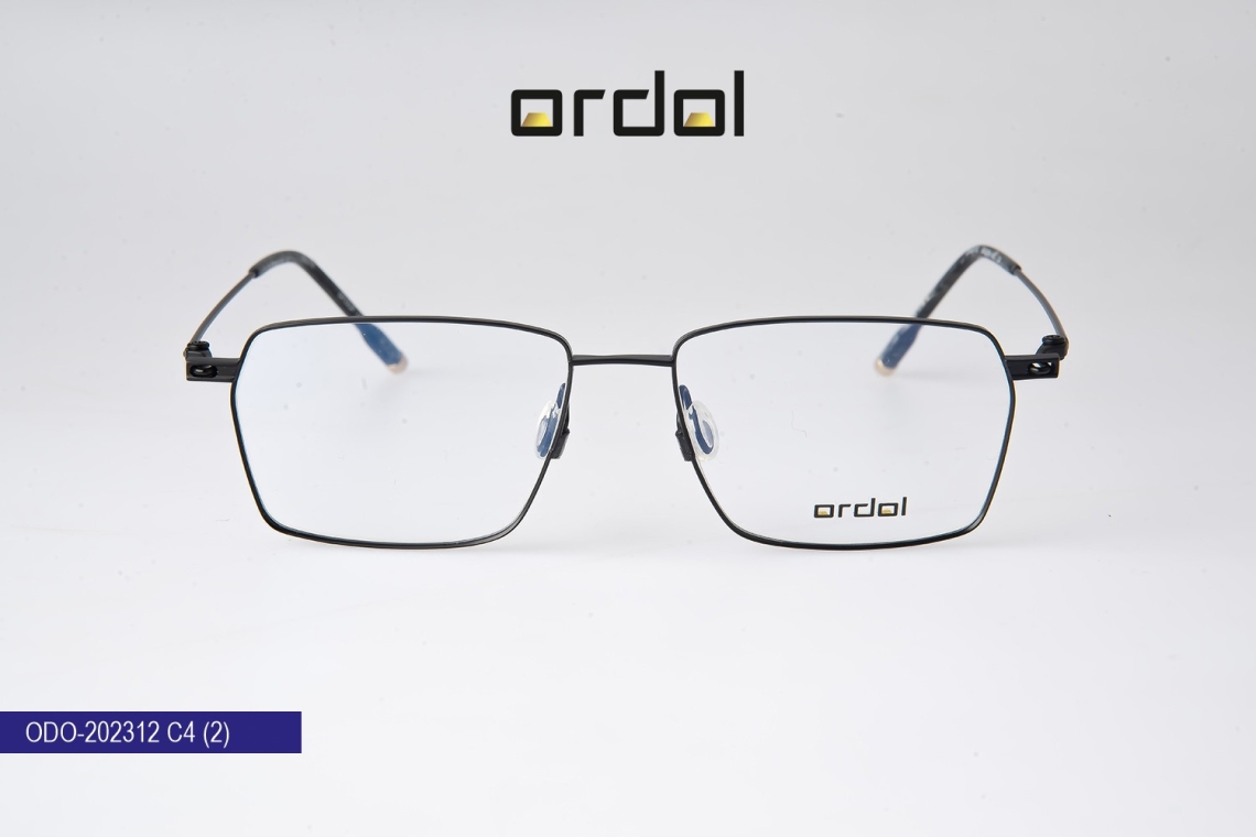ODO-202312 - 12