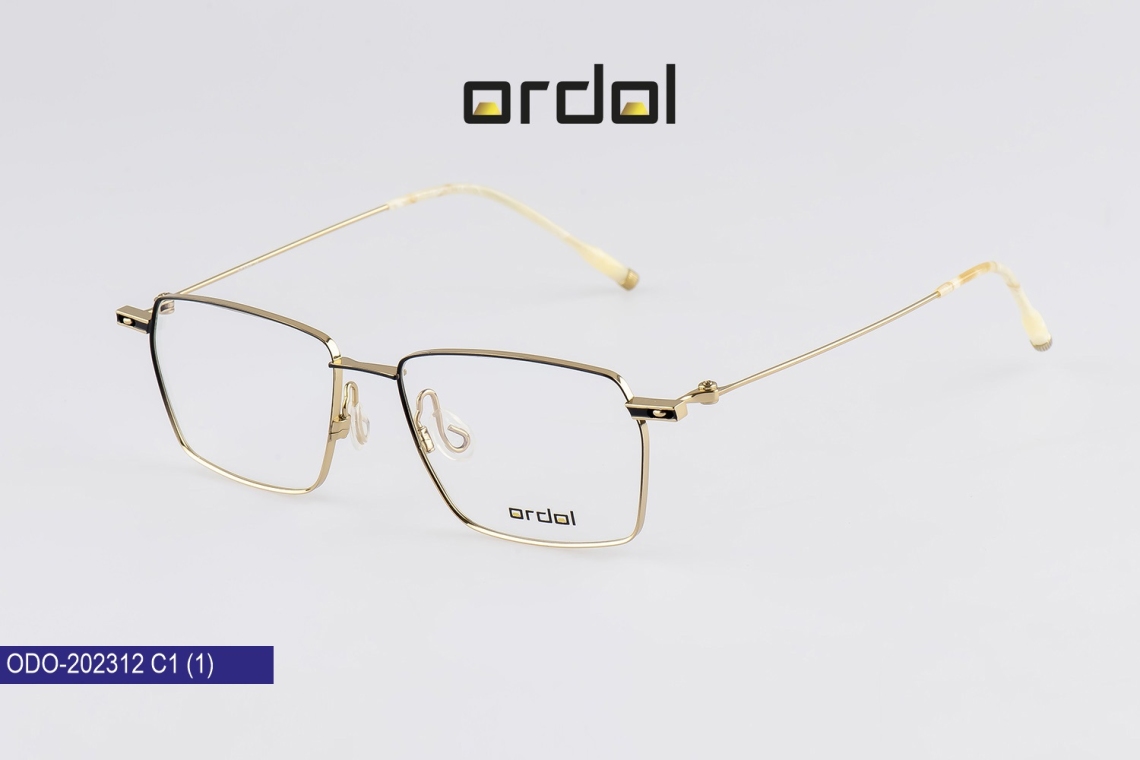 ODO-202312 - 1