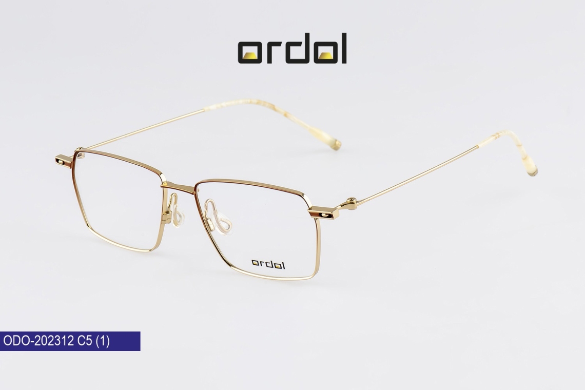 ODO-202312 - 3