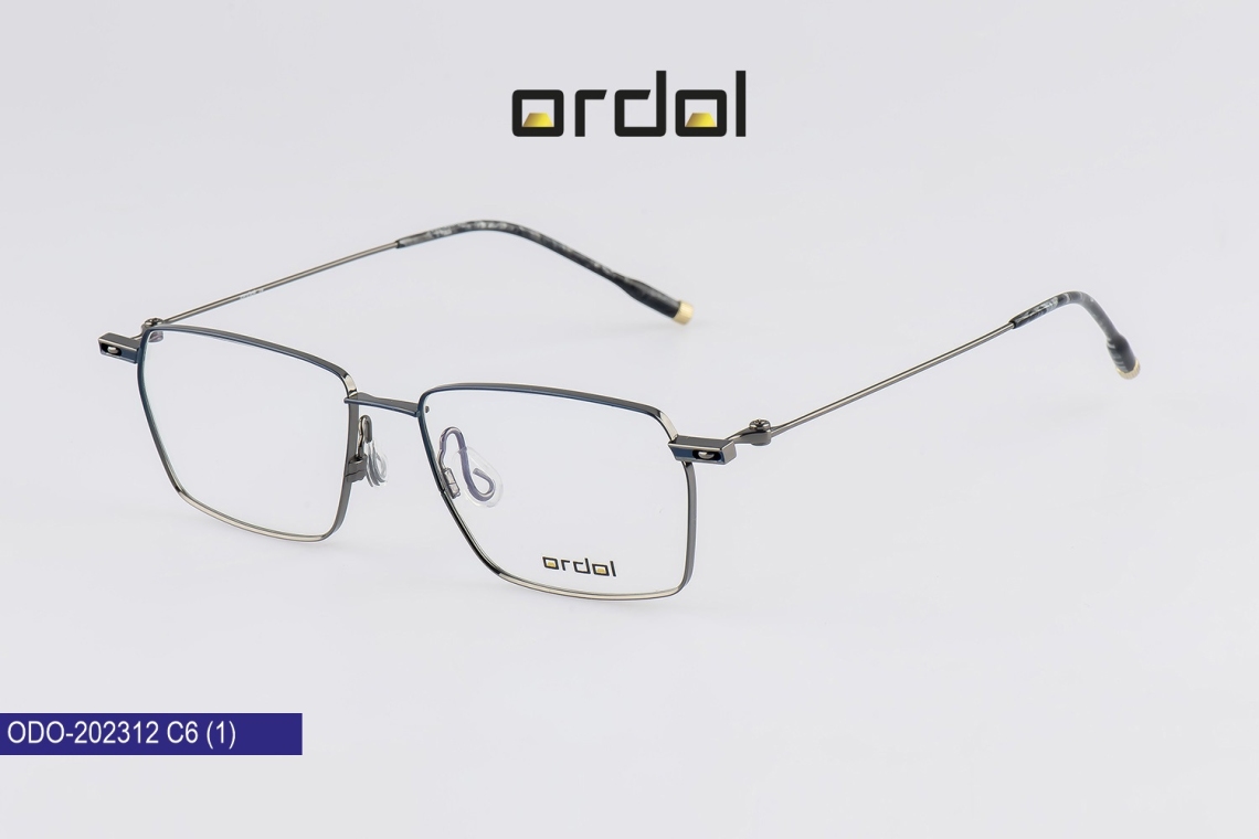 ODO-202312 - 4