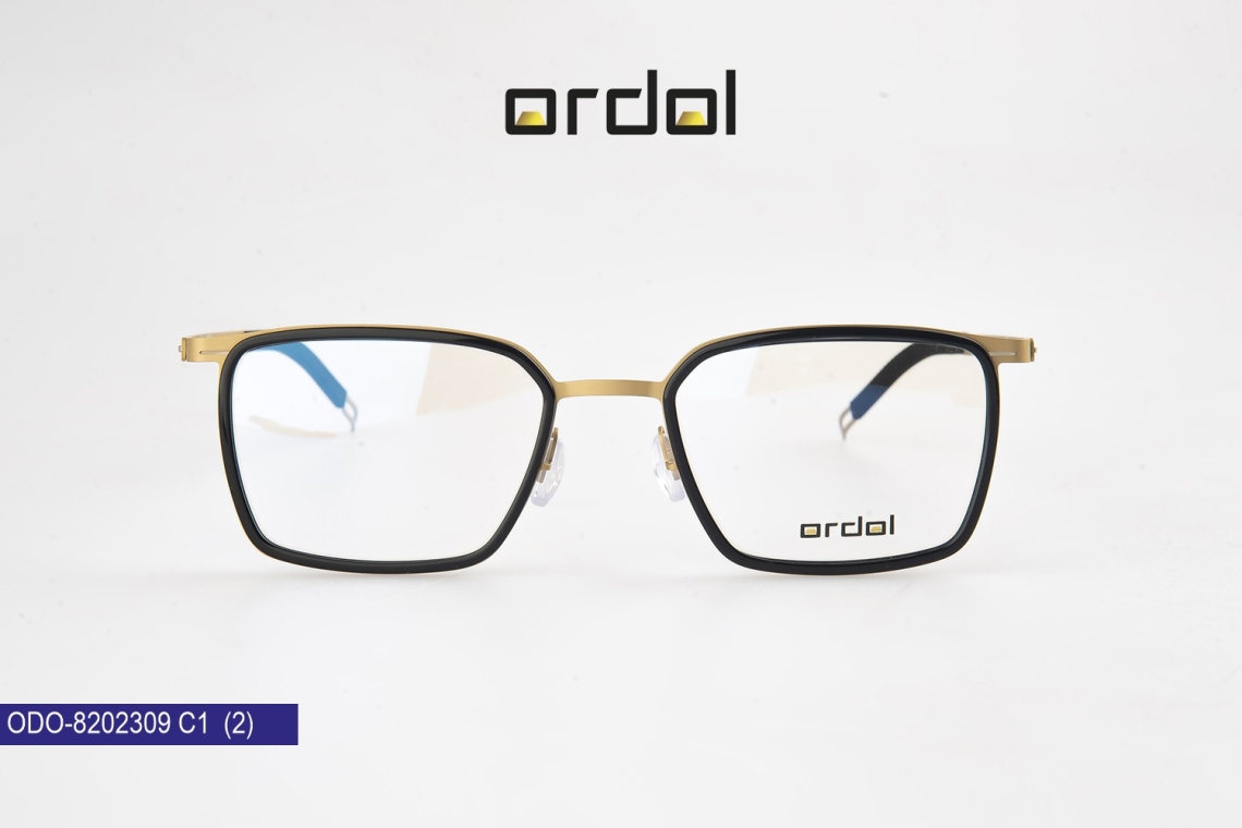 ODO-8202309 - 7