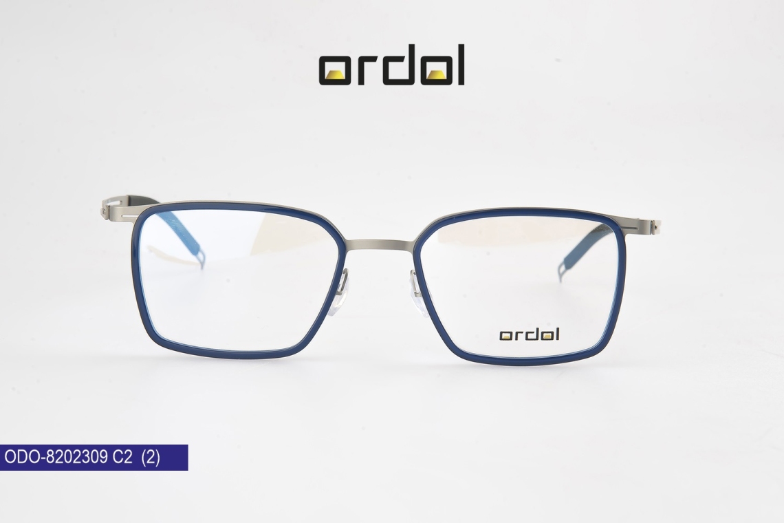 ODO-8202309 - 8