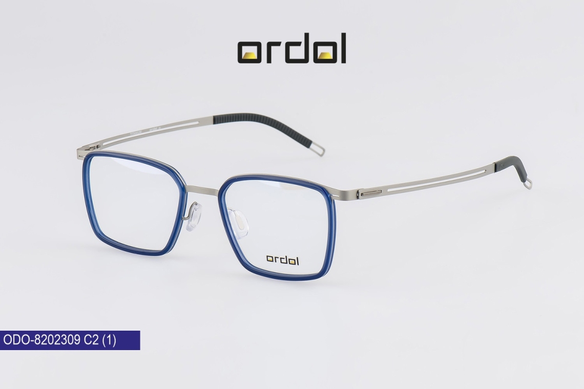 ODO-8202309 - 2