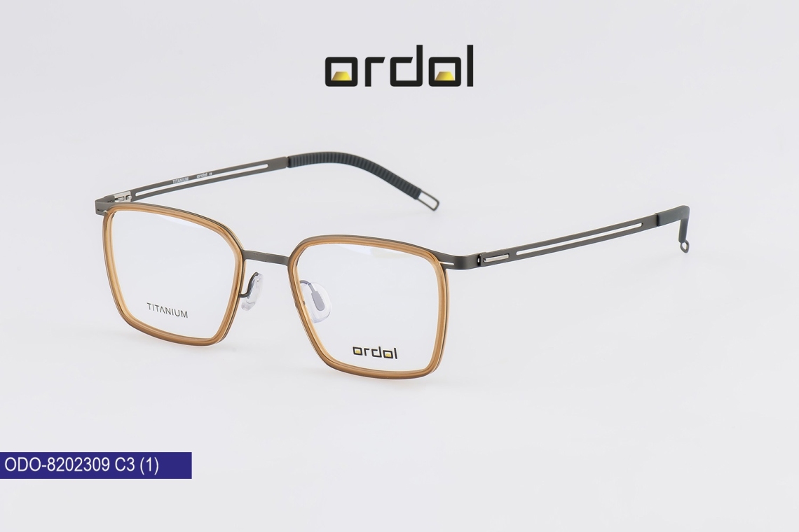 ODO-8202309 - 3