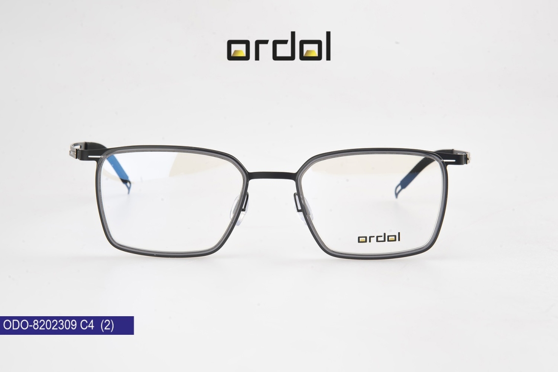 ODO-8202309 - 10