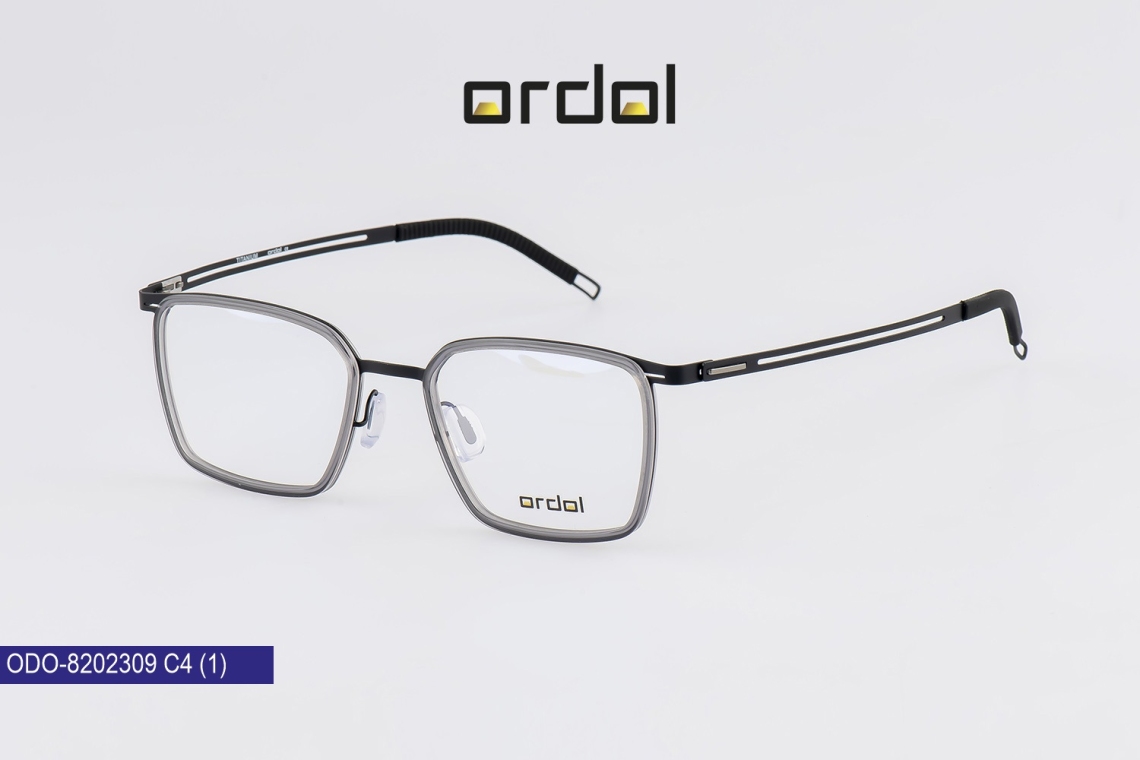 ODO-8202309 - 4