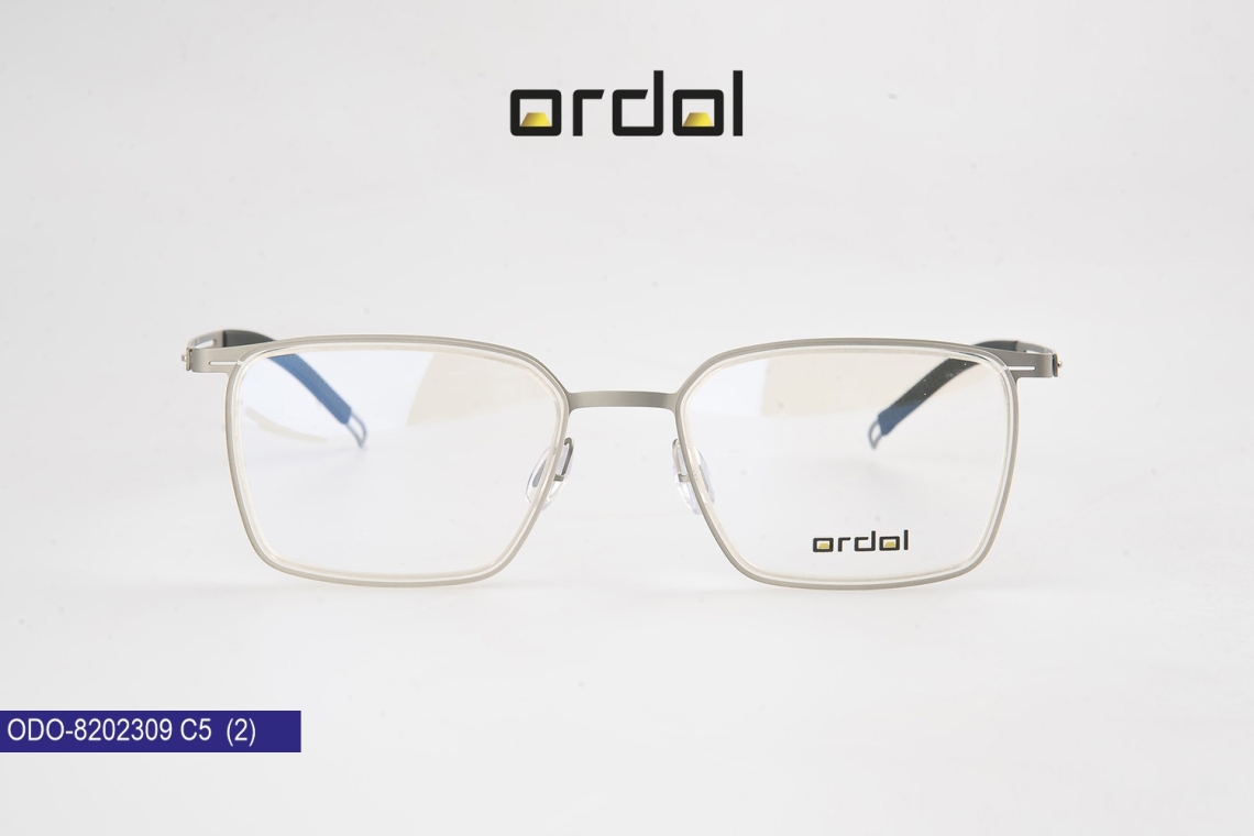 ODO-8202309 - 11