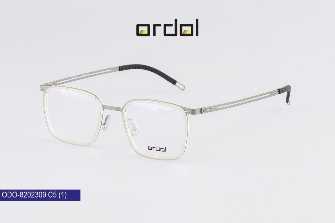 ODO-8202309 - 5