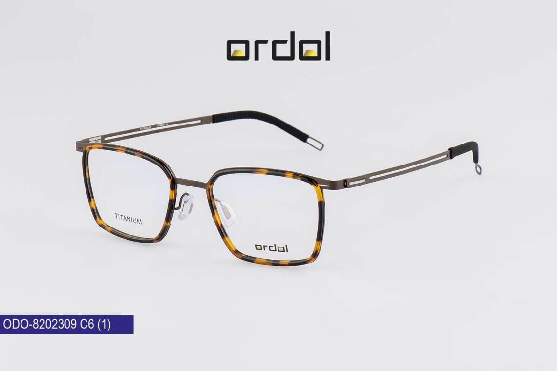 ODO-8202309 - 6