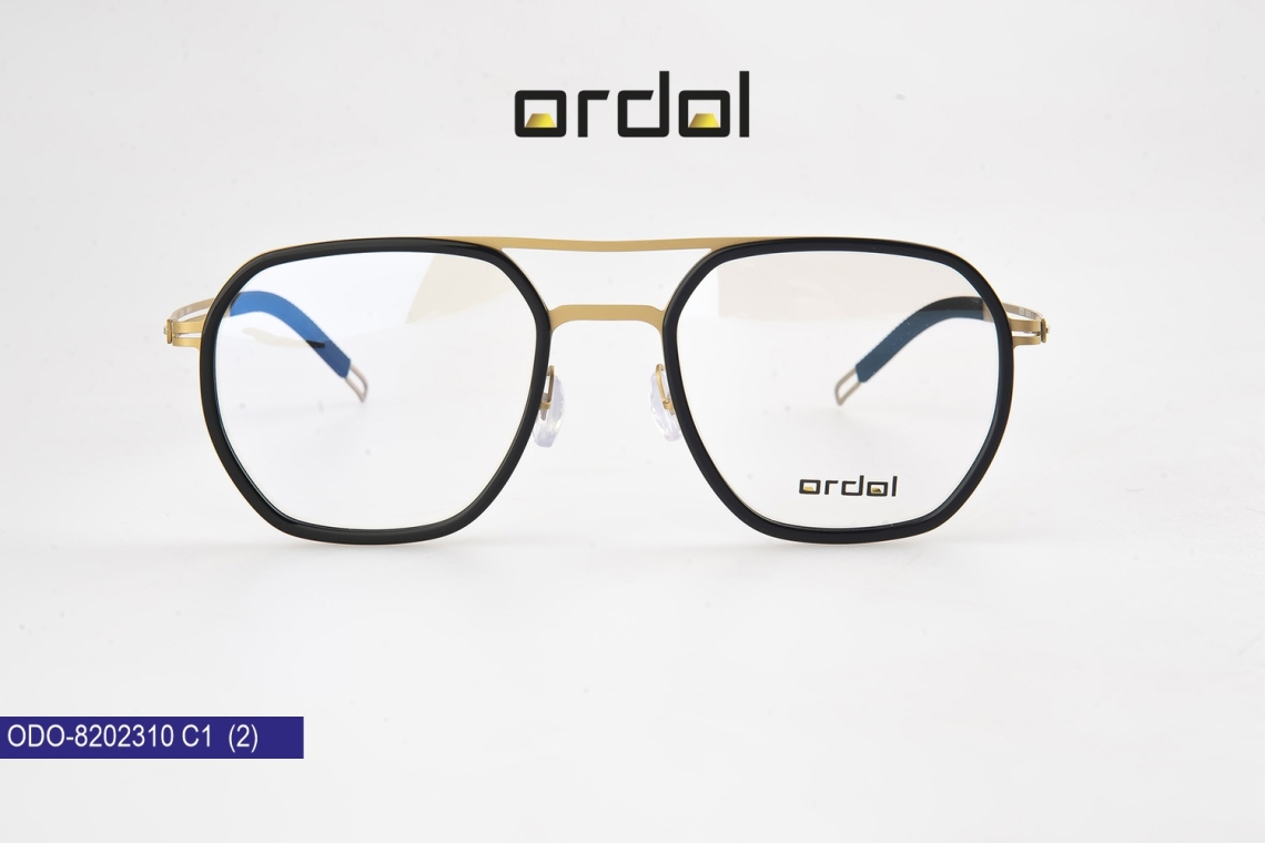 ODO-8202310 - 6