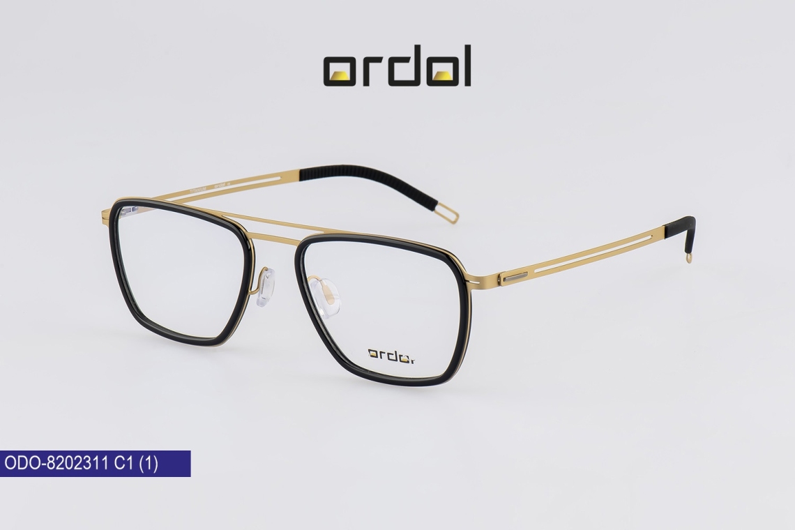 ODO-8202311 - 1