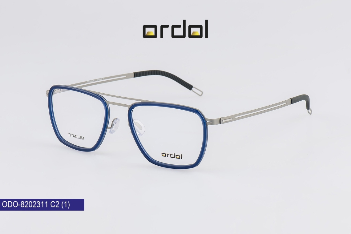 ODO-8202311 - 2