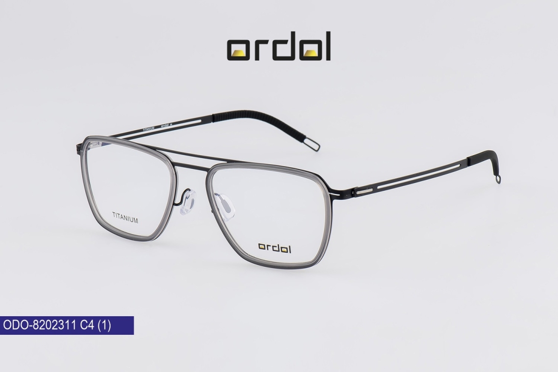 ODO-8202311 - 4