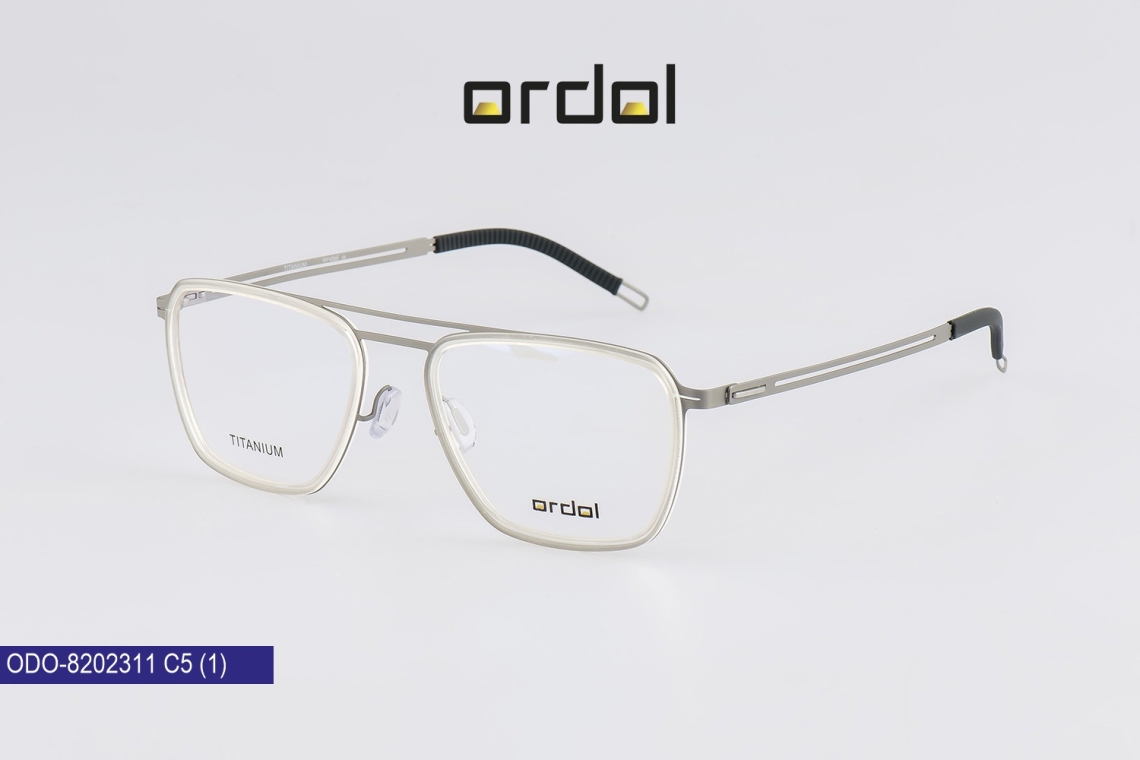 ODO-8202311 - 5