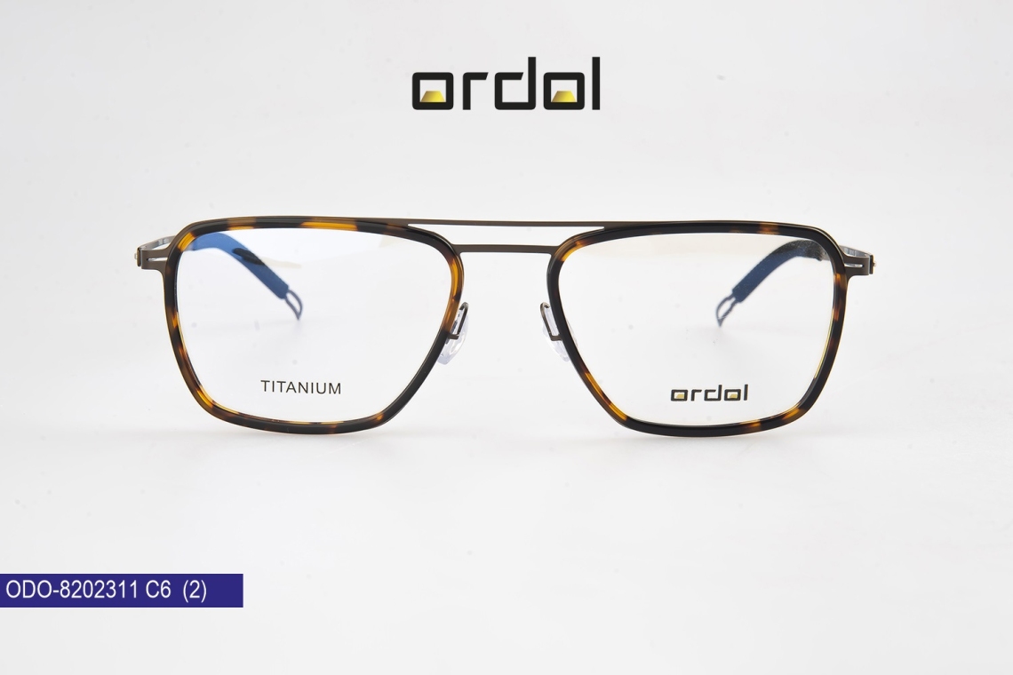 ODO-8202311 - 12