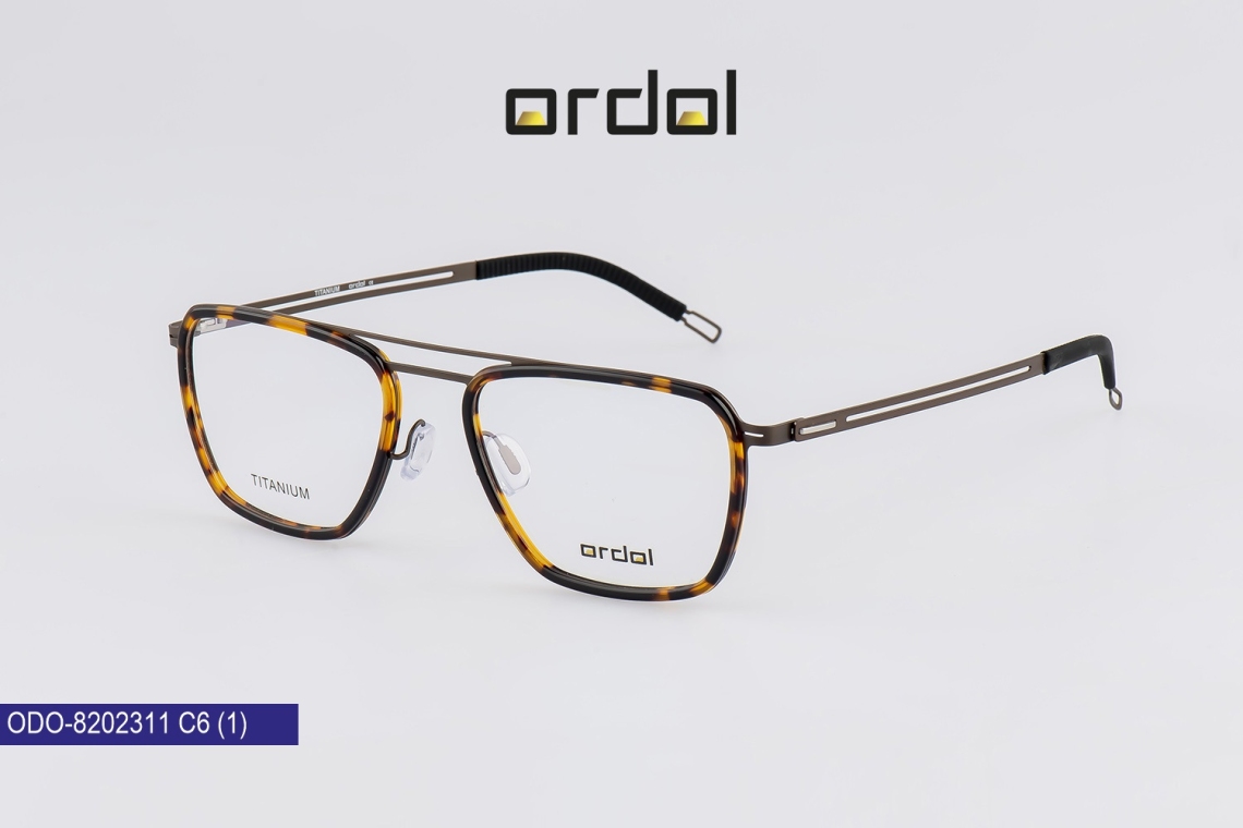 ODO-8202311 - 6