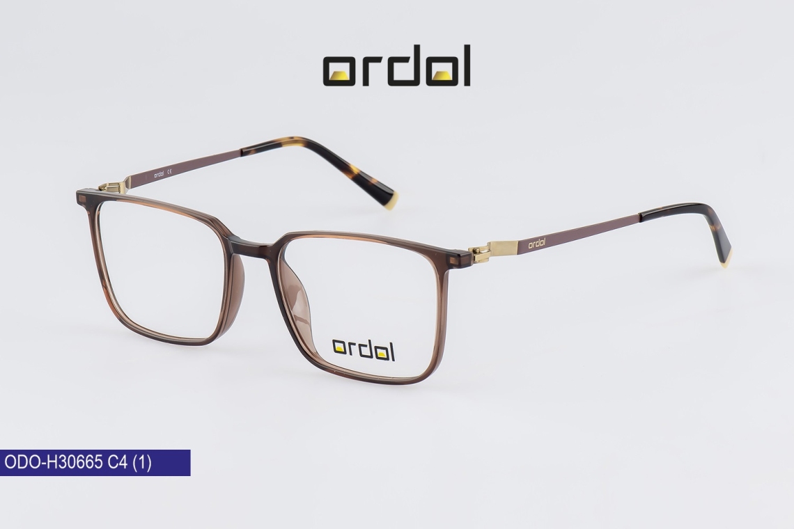 ODO-BDIPH30665 - 4