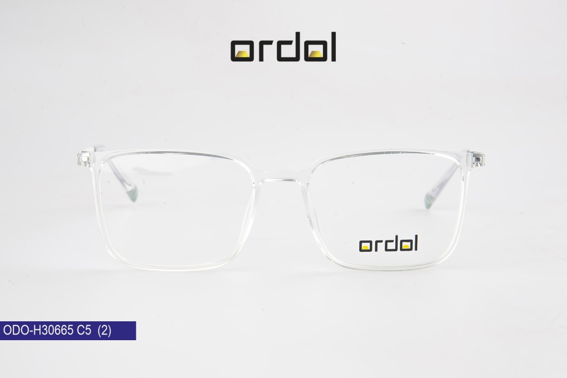 ODO-BDIPH30665 - 11
