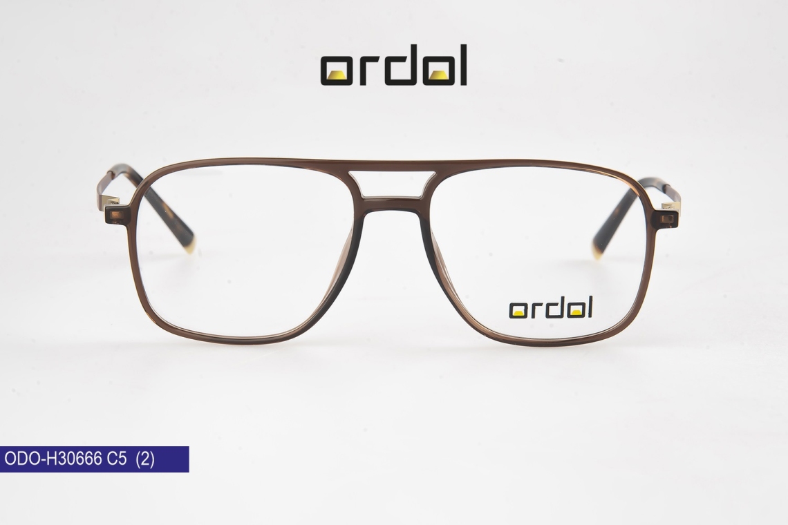 ODO-BDIPH30666 - 11
