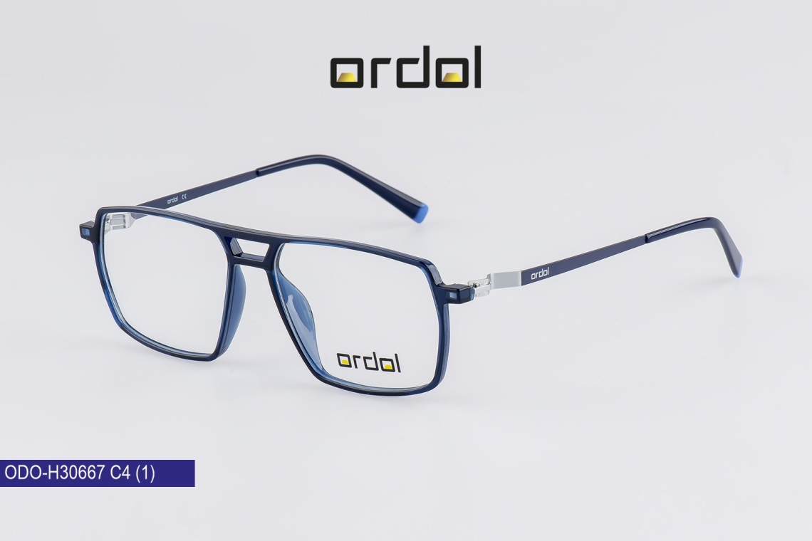ODO-BDIPH30667 - 4