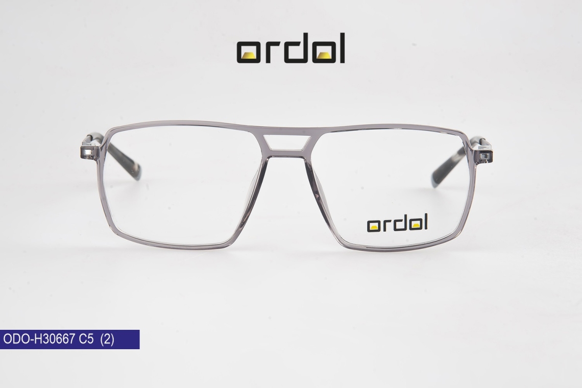 ODO-BDIPH30667 - 11