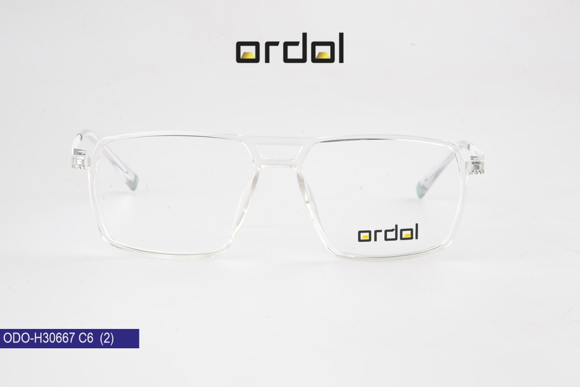 ODO-BDIPH30667 - 12