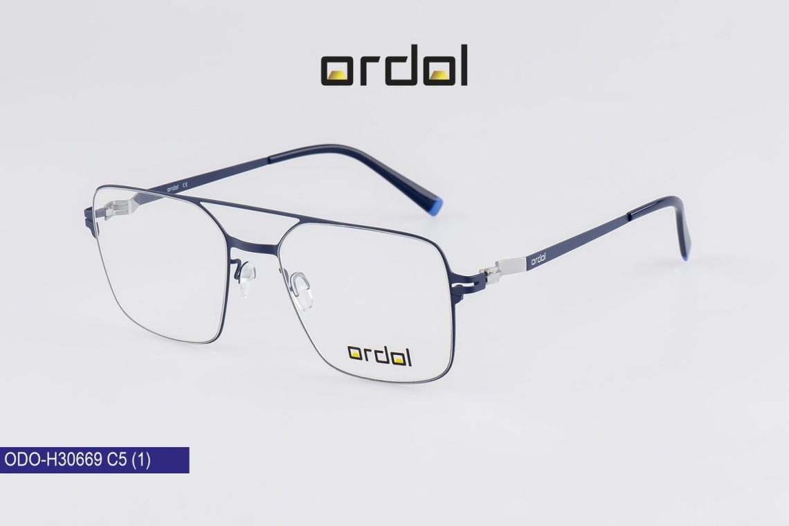 ODO-BDIPH30669 - 5