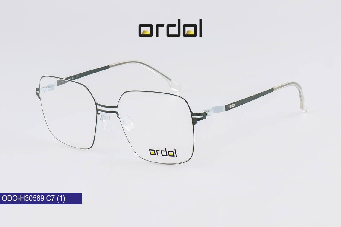 ODO-H30569 - 6
