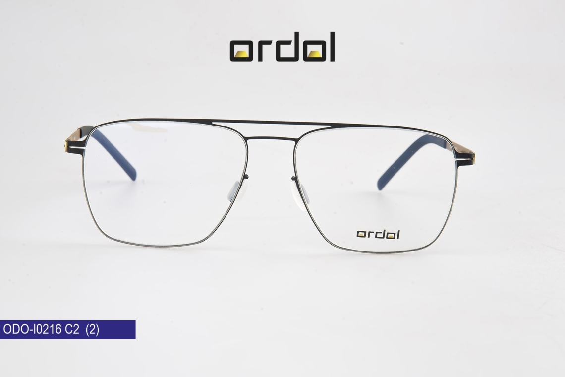 ODO-I0216 - 17