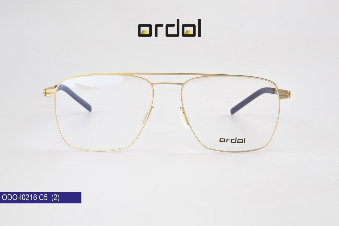 ODO-I0216 - 11
