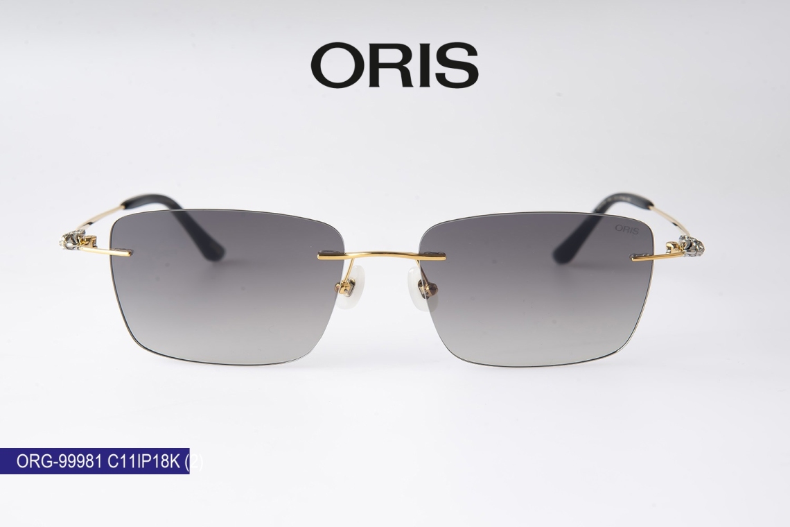 ORG-99981 - 11