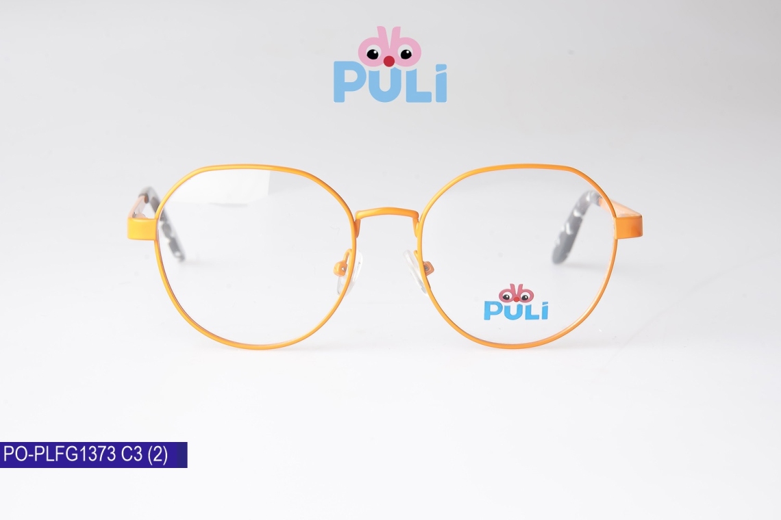 PO-PLFG1373 - 3