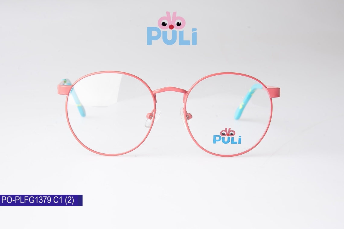 PO-PLFG1379 - 5